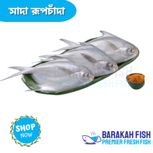 white pomfret, rupchanda, shada rubchanda, Fish, Ready Cook Fish.Sea fish