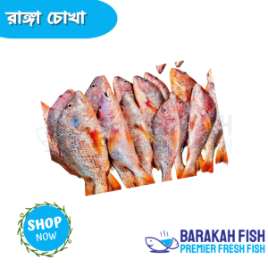 Ranga Choukka (Red Snapper)